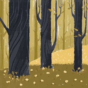 Meet your Posher, Tornor